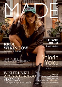 Katalog MADE 2024 PL 212603743